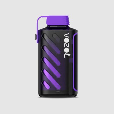 Vozol Gear Power 20000 Mixed Berries