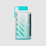 Vozol Gear Power 20000 Watermelon Ice