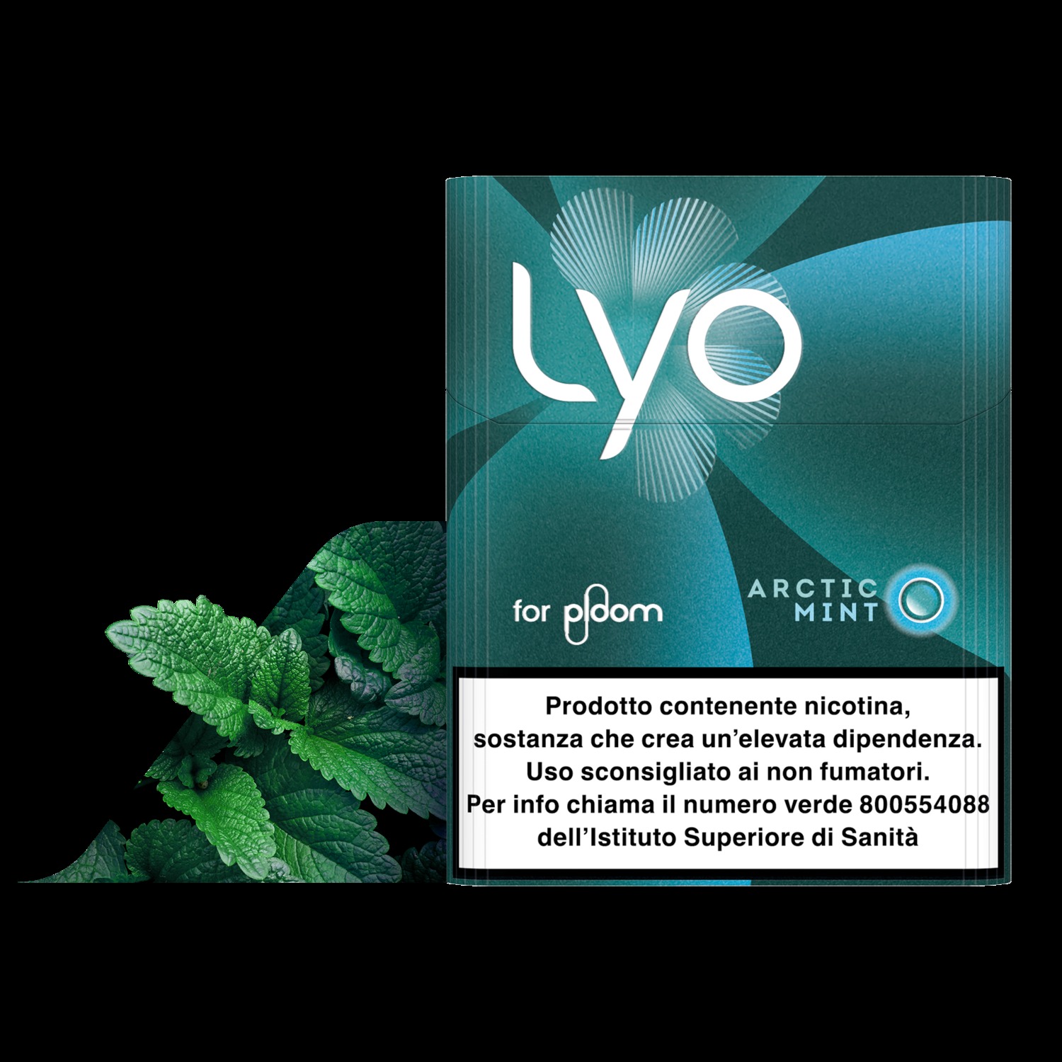 Lyo Arctic Mint paketi ve nane yaprakları